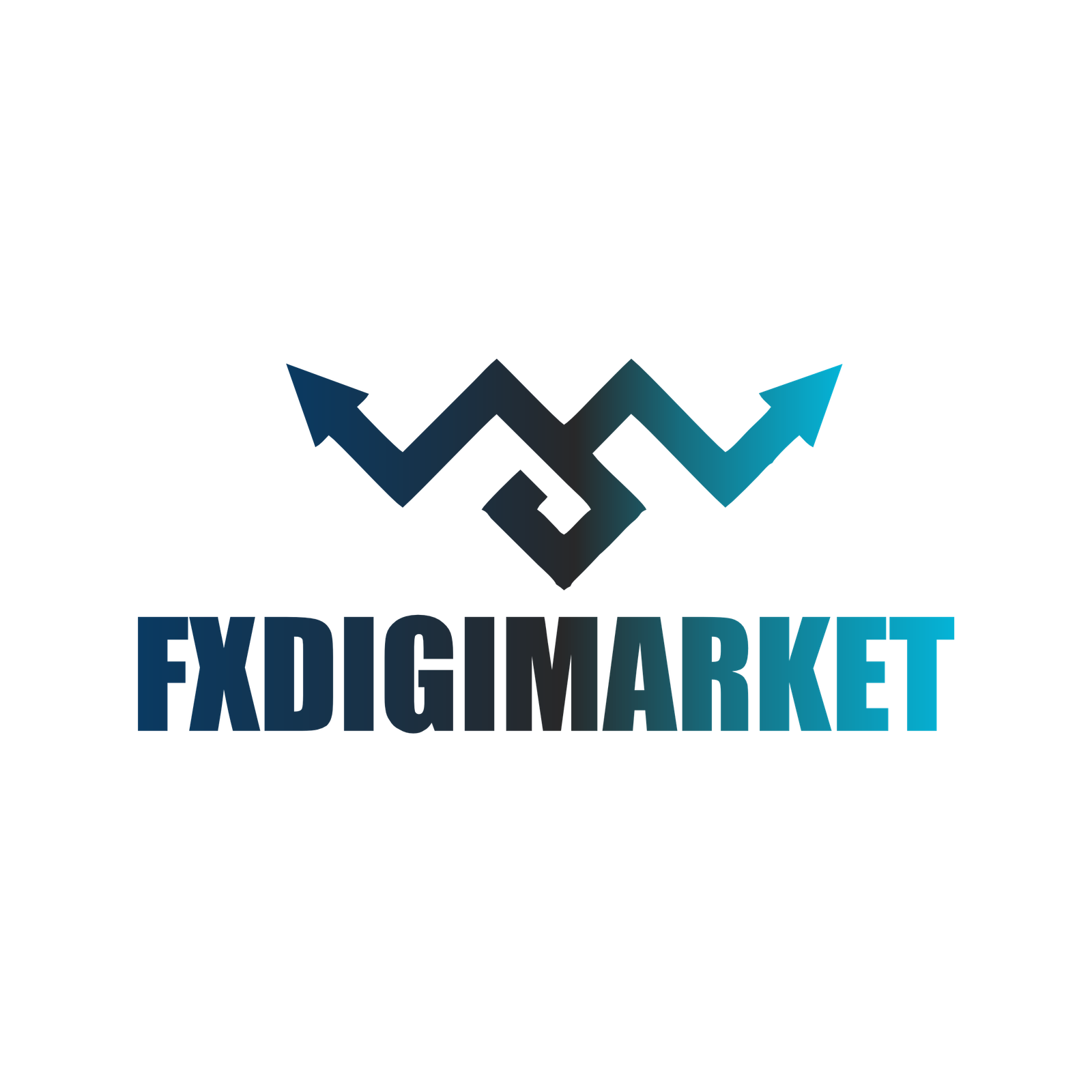 FxDigi